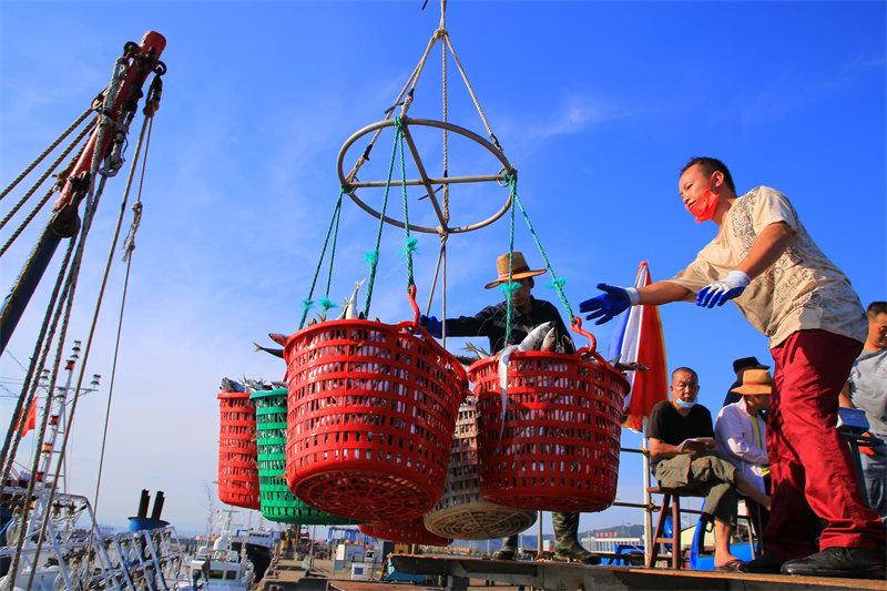 Zhejiang : la grande marée d'automne, une bonne période de récolte pour les pêcheurs de Yuhuan