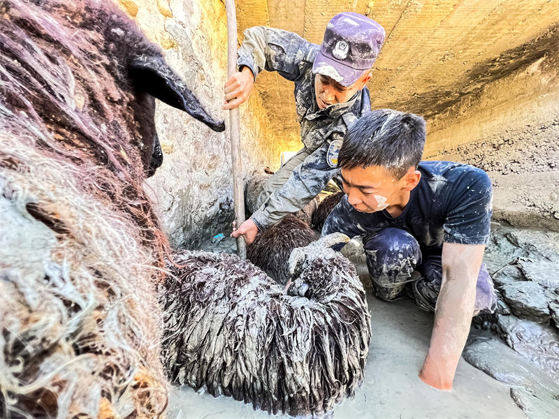Xinjiang : la police aide un berger à sauver des moutons pris dans la boue