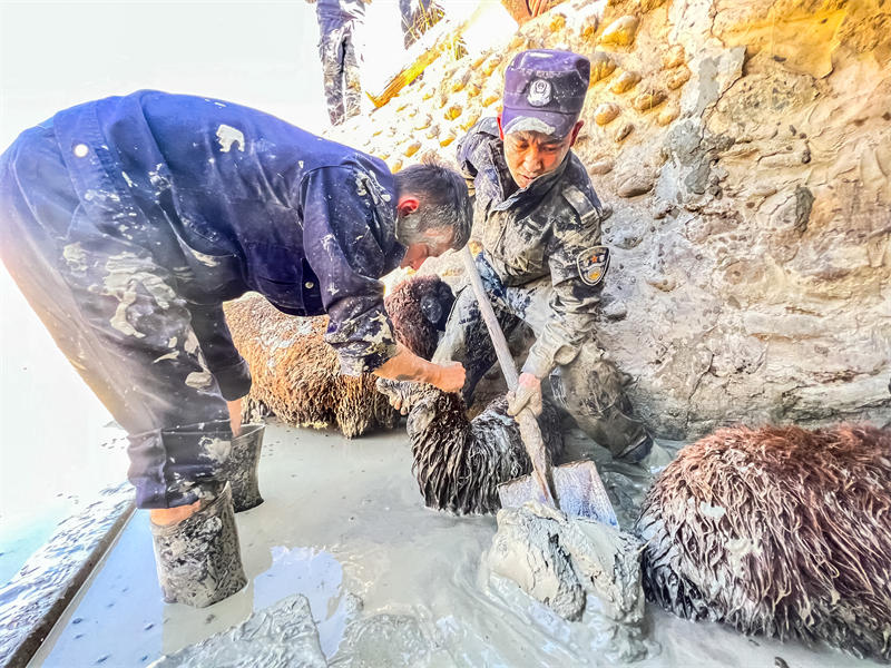 Xinjiang : la police aide un berger à sauver des moutons pris dans la boue