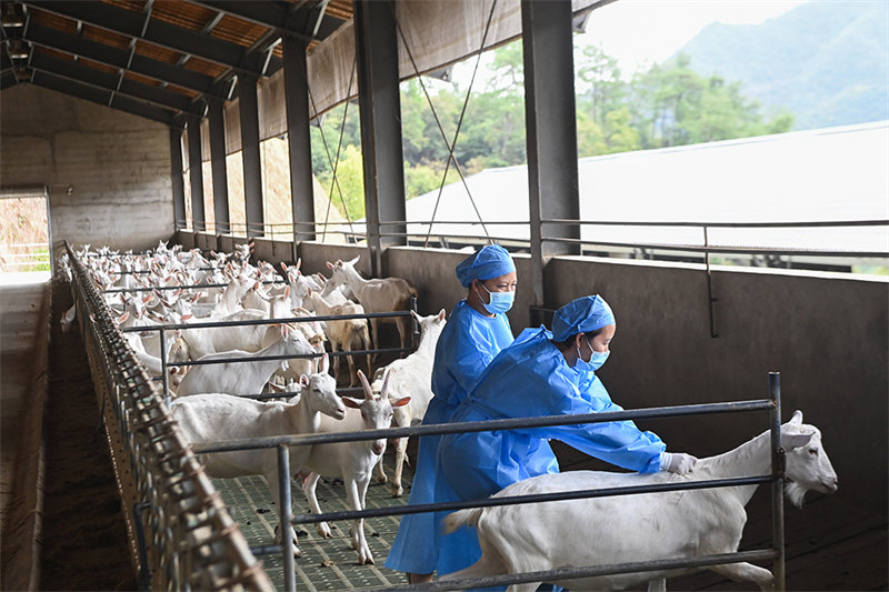 Zhejiang : les agriculteurs-entrepreneurs contribuent à la modernisation agricole