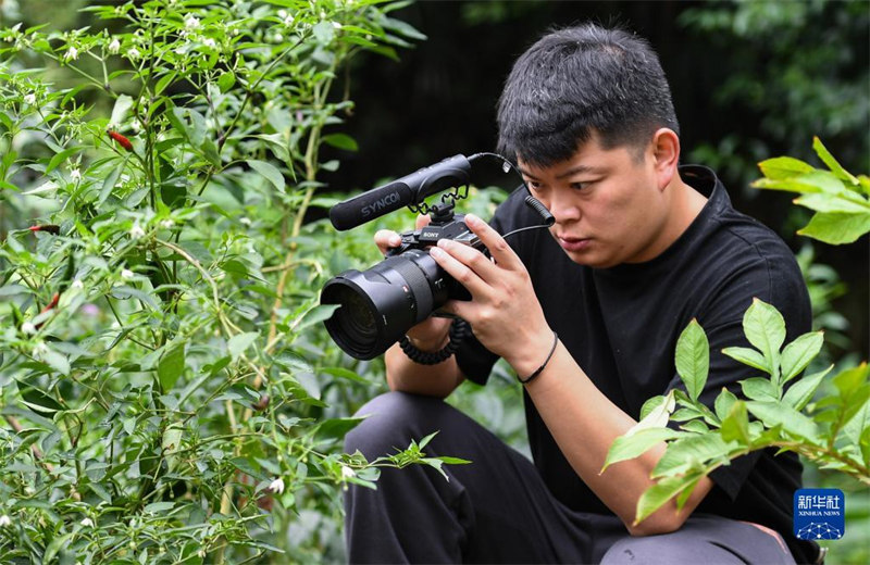 Shaanxi : un jeune homme de la génération post-90 enregistre le « goût de la famille » chez ses grands-parents