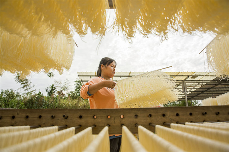 Jiangxi : les villageois occupés à sécher des nouilles fraîches