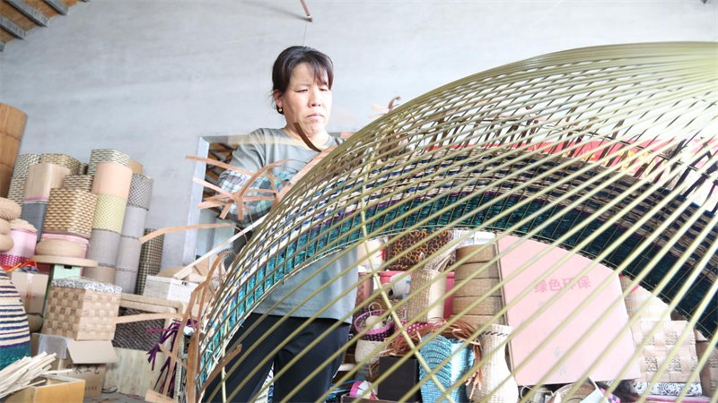 Shandong : le tressage de l'osier insuffle une nouvelle vitalité au développement rural