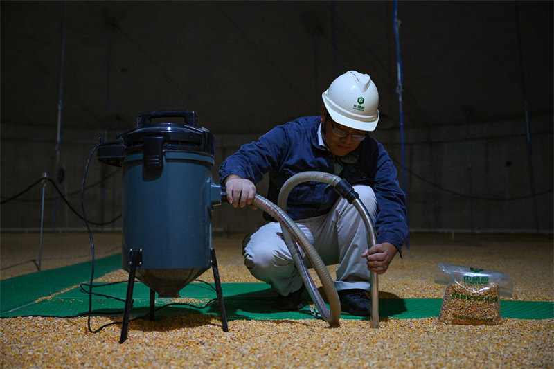 Entrez dans « l'entrepôt céréalier du grand pays » et découvrez « l'art du stockage des céréales »