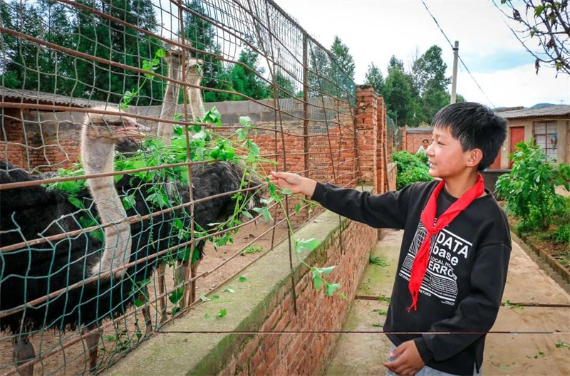 Cette école primaire rurale de Yunnan consomme les matières alimentaires plantées par elle-même
