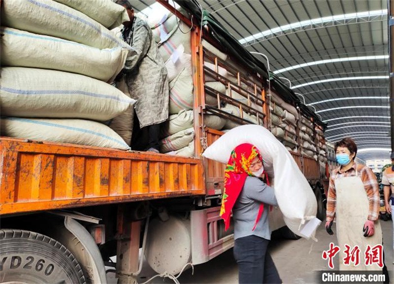 Guangxi : 80% des épices de Chine sont distribuées à partir de Yulin, la « capitale des parfums du Sud »