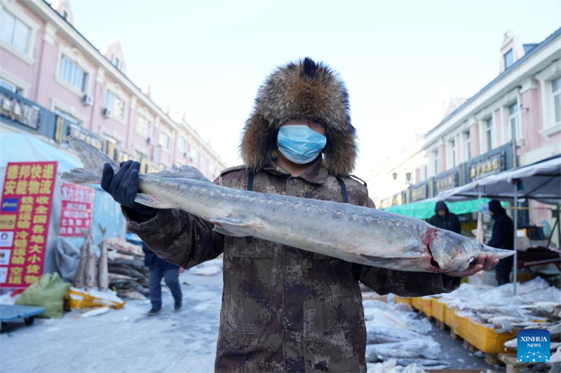 Heilongjiang : le marché de poissons de Dongji entre dans la saison de pointe à l'approche de la Fête du Printemps