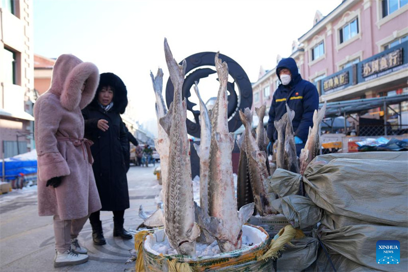 Heilongjiang : le marché de poissons de Dongji entre dans la saison de pointe à l'approche de la Fête du Printemps