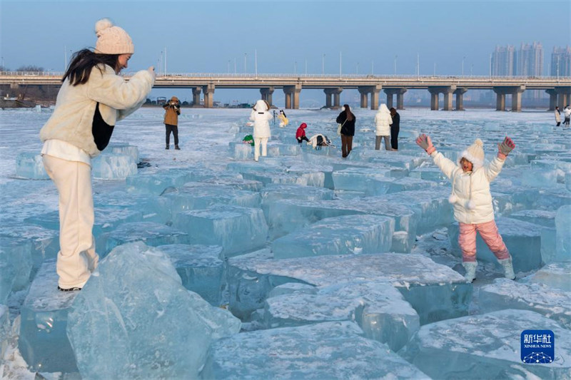 Heilongjiang : la « mer de diamant » attire les visiteurs à Harbin