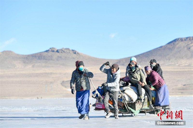 Tibet: les bergers mènent leurs troupeaux vers l'île de Huxin pour passer la période la plus froide de l'hiver