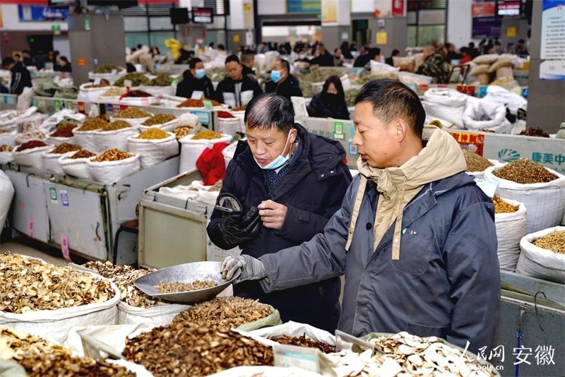 Anhui : ouverture du marché de la médecine à Bozhou, capitale de la médecine chinoise