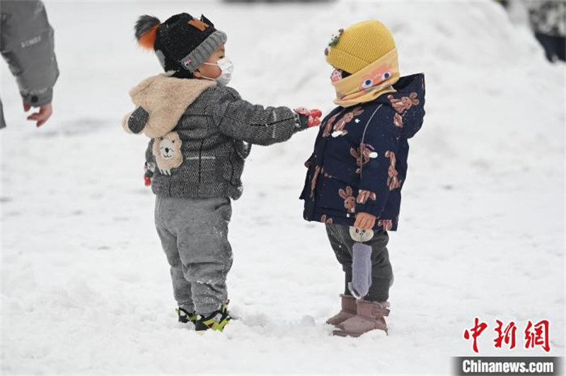 Mongolie intérieure : la ville de Hohhot accueille la neige de printemps, les gens s'en amusent