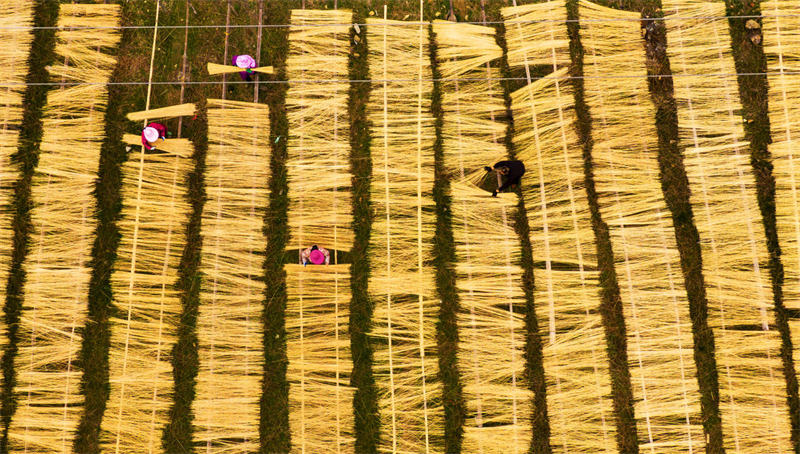 Jiangxi : la transformation des produits en bambou contribue à augmenter les revenus à Dingnan