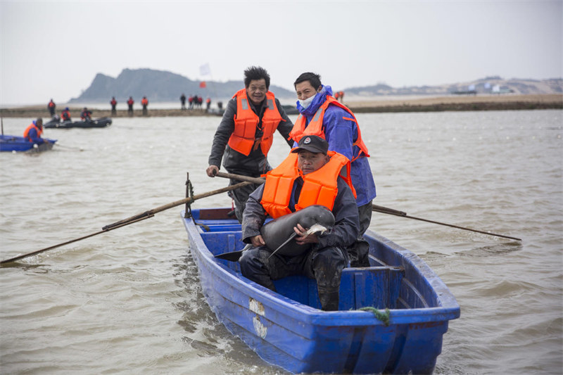 Jiangxi : un plan de déplacement pour la protection du marsouin aptère du Yangtsé sera lancé en 2023 dans le lac Poyang