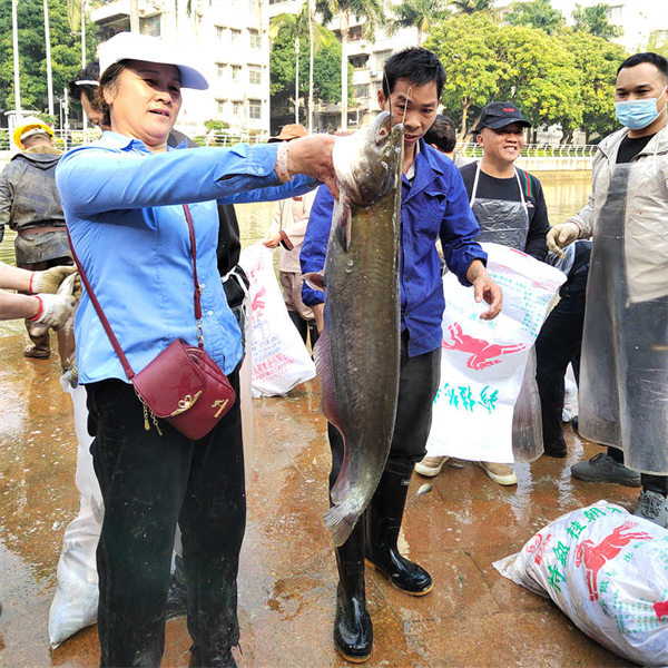 Guangxi : une université attrape 3 750 kg de poissons pour inviter les enseignants et les étudiants