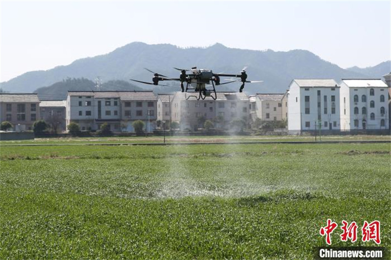Zhejiang : des machines agricoles « montrent leurs compétences » lors des labours de printemps à Dongyang