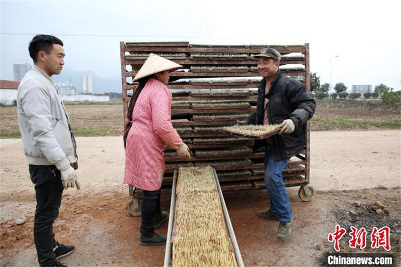 Zhejiang : des machines agricoles « montrent leurs compétences » lors des labours de printemps à Dongyang
