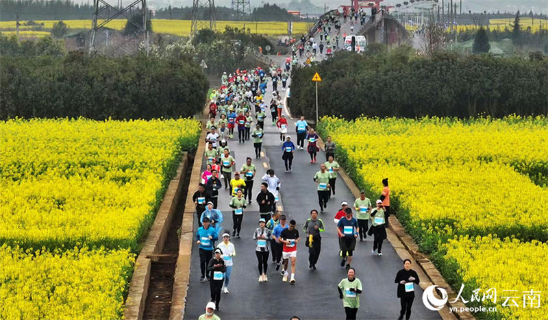 Des athlètes et des passionnés de marathon chinois et étrangers s'affrontent dans un marathon au milieu d'une mer de fleurs de colza dans le comté de Luoping, à Qujing, dans la province du Yunnan (sud-ouest de la Chine), le 25 février 2023. (Liu Yi / le Quotidien du Peuple en ligne)