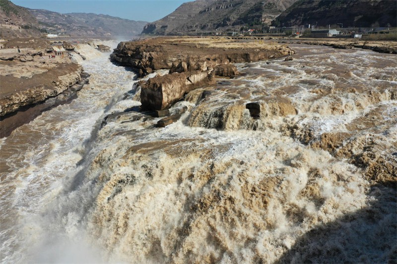 Shanxi : la cascade de Hukou du fleuve Jaune connaît une « crue des fleurs de pêcher » dans le comté de Ji'xian