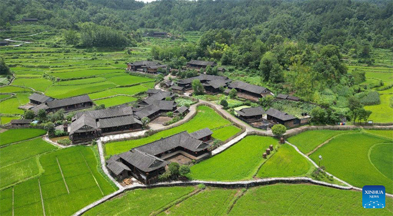 Photo aérienne prise le 12 juin 2022 montrant des maisons sur pilotis construites dans le style de construction en bois typique de l'ethnie Tujia dans le village de Shiyanping du district de Yongding, à Zhangjiajie, dans la province du Hunan (centre de la Chine). (Photo / Xinhua)