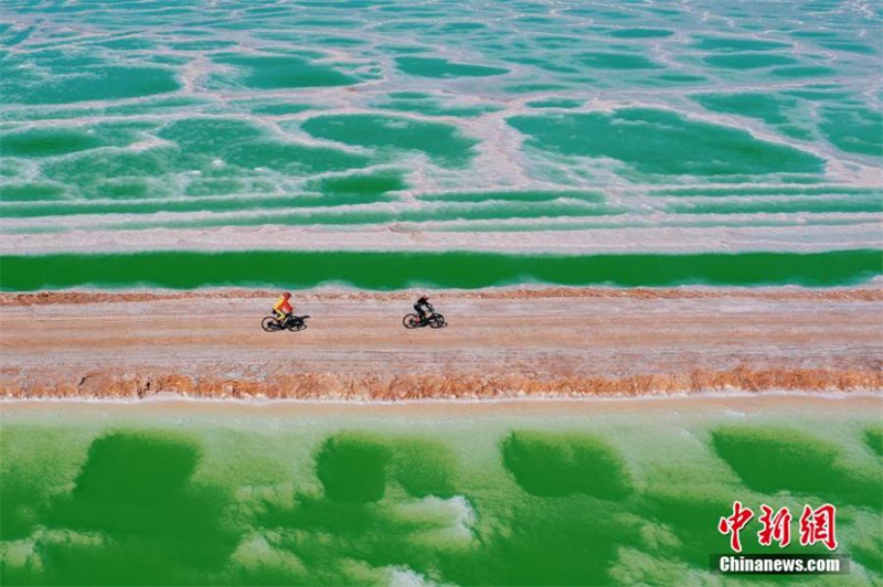 Des cyclistes s'affrontent le long du lac Émeraude avec de merveilleuses couleurs naturelles sur le bassin de Qaidam, dans la préfecture autonome mongole et tibétaine de Haixi, dans la province du Qinghai (nord-ouest de la Chine), le 23 mai 2023. (Jia Haiyuan / China News Service)