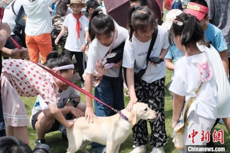 Guangxi : des élèves participent à un entraînement avec des chiens policiers
