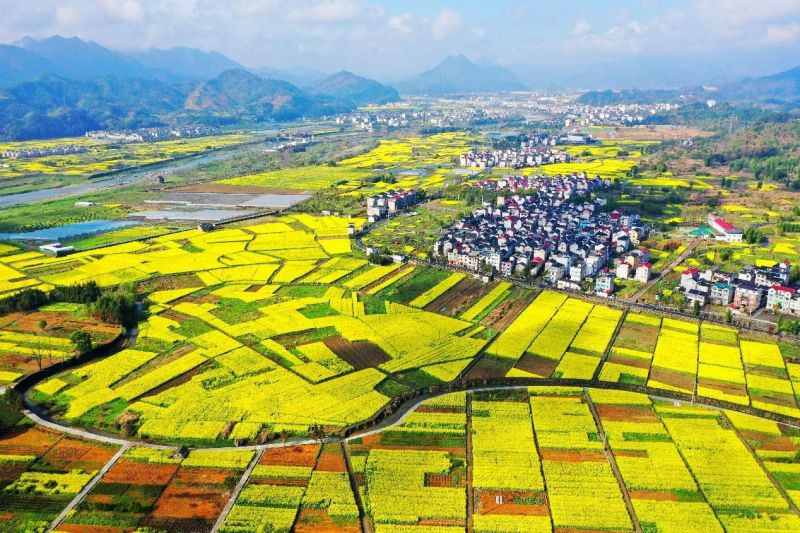 Le programme vert du Zhejiang donne une nouvelle image aux zones rurales