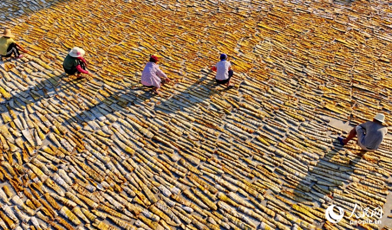 Jiangxi : comment le séchage des pousses de bambou permet d'augmenter les revenus