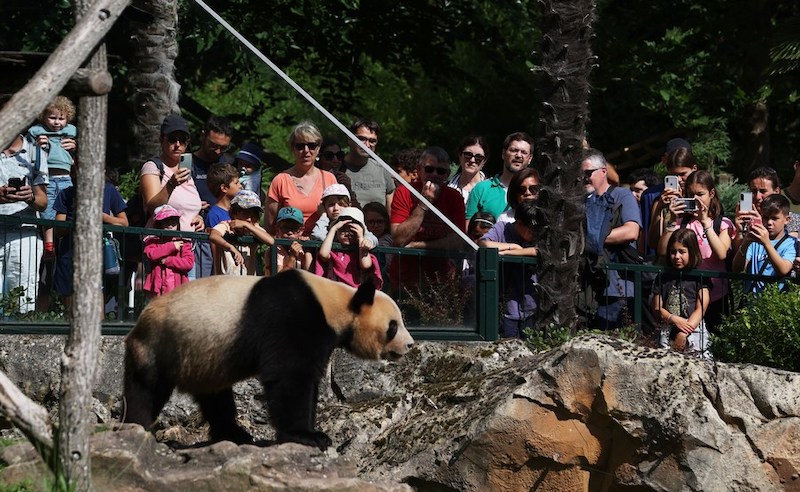 La France a fait ses adieux à Yuan Meng