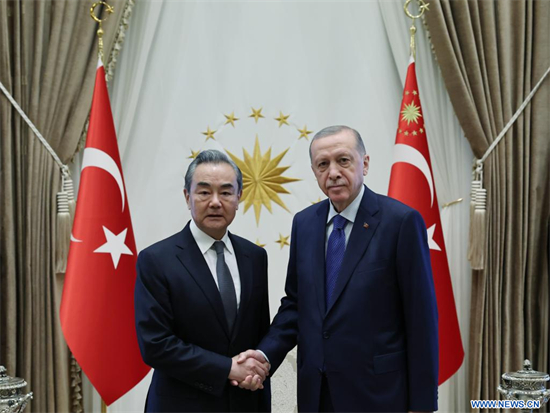  (Photo de la présidence turque/via Xinhua)
