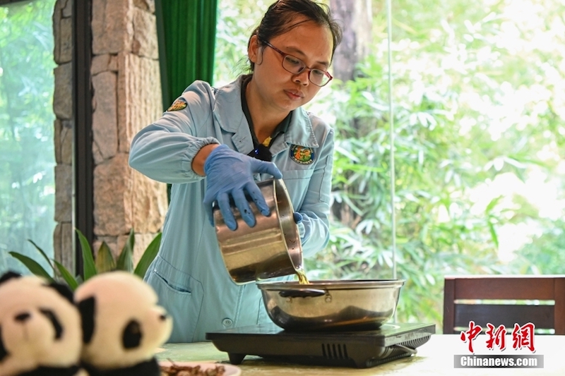 Guangdong : les pandas géants ont des moyens « cool » de lutter contre la chaleur estivale