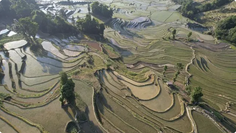 Yunnan : les rizières en terrasses Hani de Honghe, un berceau de la civilisation