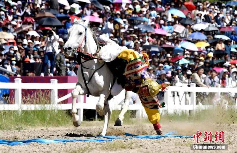 Tibet : un spectacle équestre traditionnel présenté au festival du Shoton de Lhassa