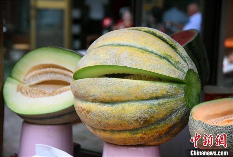 Une nouvelle variété de melon fait fureur en Chine !