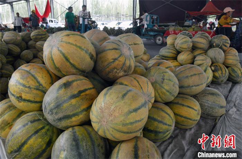 Une nouvelle variété de melon fait fureur en Chine !