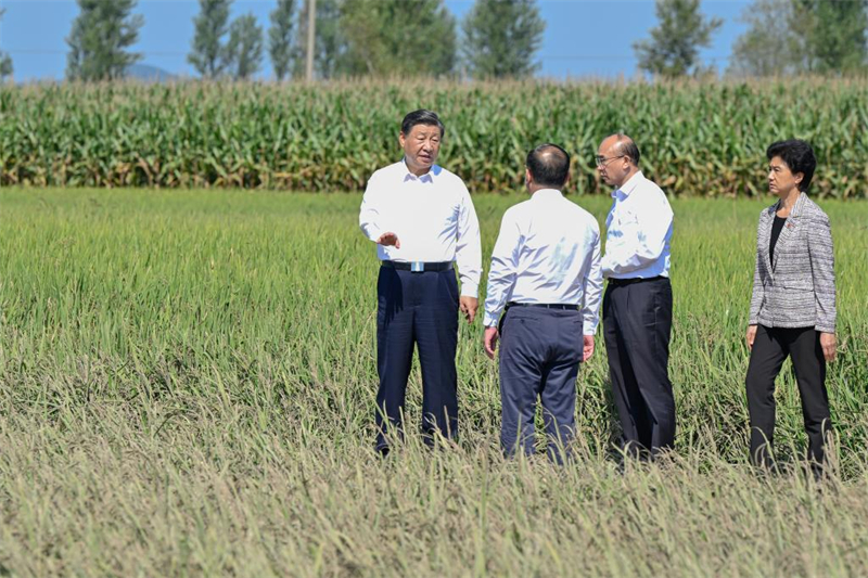 Xi Jinping rend visite à des villageois touchés par les inondations au Heilongjiang