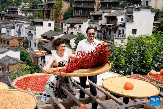 Mylène Mathieu (à gauche) secoue des piments. (Photo / Xinhua)