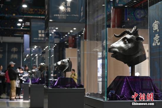 Cinq têtes d'animaux du zodiaque (le bœuf, le tigre, le singe, le cochon et le cheval) sont exposées sur le site de l'Ancien Palais d'été. (Zhao Wenyu / China News Service)