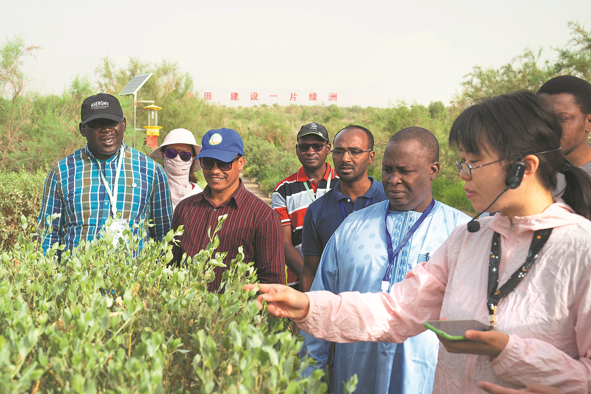 Une technicienne chinoise (à droite) guide un groupe de visiteurs africains dans le jardin botanique de Tazhong, dans la région autonome ouïgoure du Xinjiang (nord-ouest de la Chine), le 16 juin. (Zhou Shengbin / Xinhua)