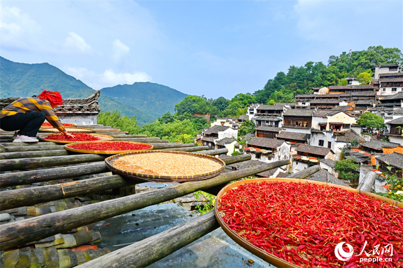 Des récoltes sont séchées au soleil dans des paniers plats en bambou dans le village de Huangling du comté de Wuyuan, à Shangrao, dans la province du Jiangxi (est de la Chine). (Zhu Haipeng / le Quotidien du Peuple en ligne)