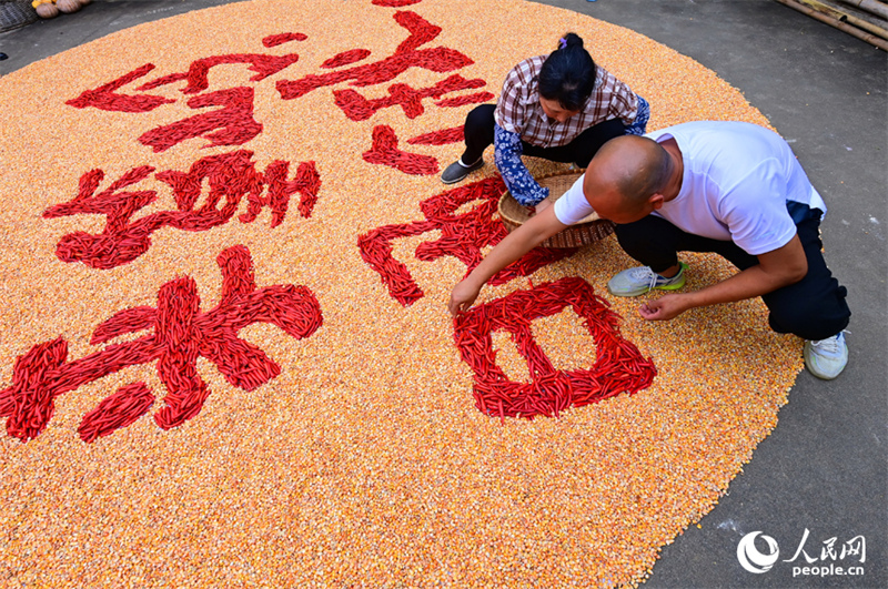 Jiangxi : des villageois font sécher leurs récoltes au soleil