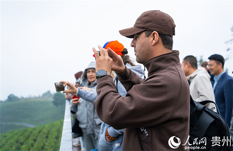 Des journalistes des pays eurasiatiques visitent le Guizhou : le parfum du thé blanc suscite les éloges des journalistes étrangers