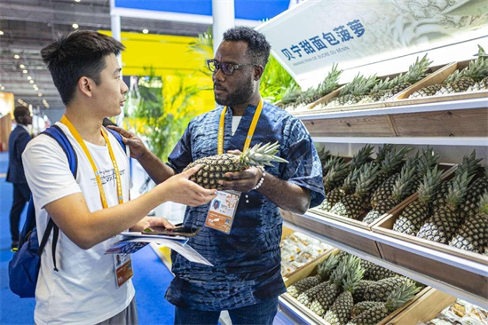 Un membre du personnel présente des ananas du Bénin lors de la 6e Exposition internationale de l'importation de Chine (China International Import Expo, CIIE), le 5 novembre 2023. (Wang Chu / Pic.people.com.cn)