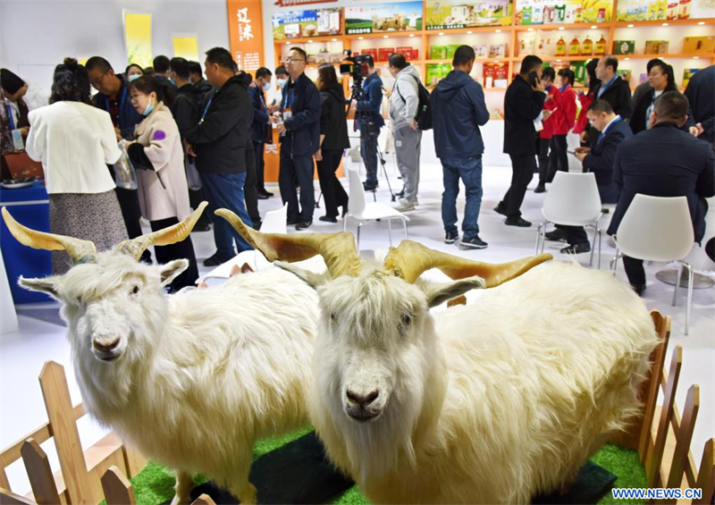 La foire agricole internationale de Chine attire plus de 30.000 acheteurs
