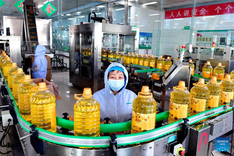 Shandong : le comtés de Boxing construit des chaînes industrielles et d'approvisionnement pour stimuler l'économie