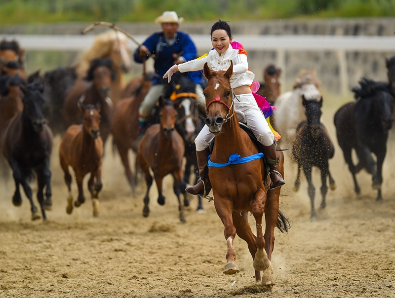 La Super League de chevaux de Mongolie intérieure bat son plein