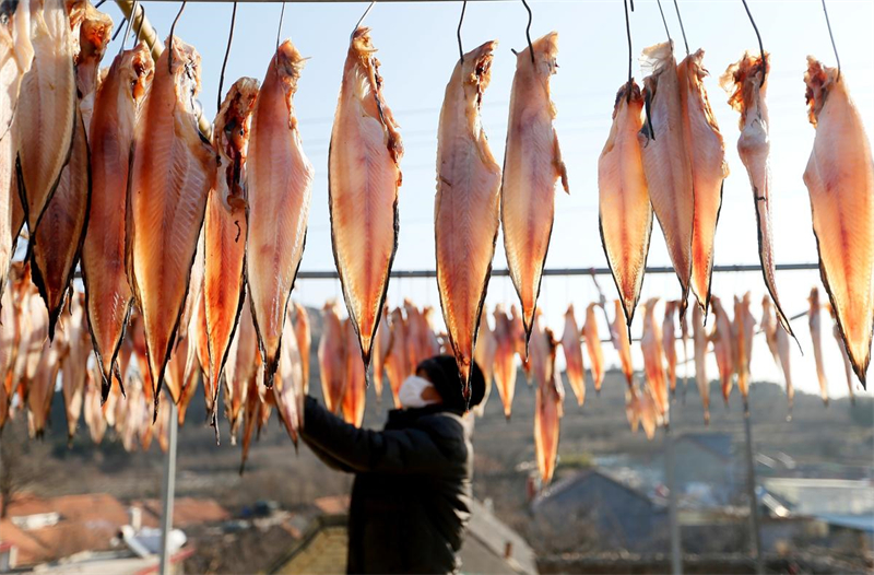 Les pêcheurs de Rizhao perpétuent la tradition du séchage de poissons au soleil