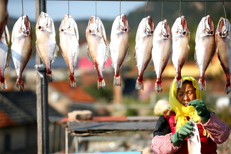 Les pêcheurs de Rizhao perpétuent la tradition du séchage de poissons au soleil