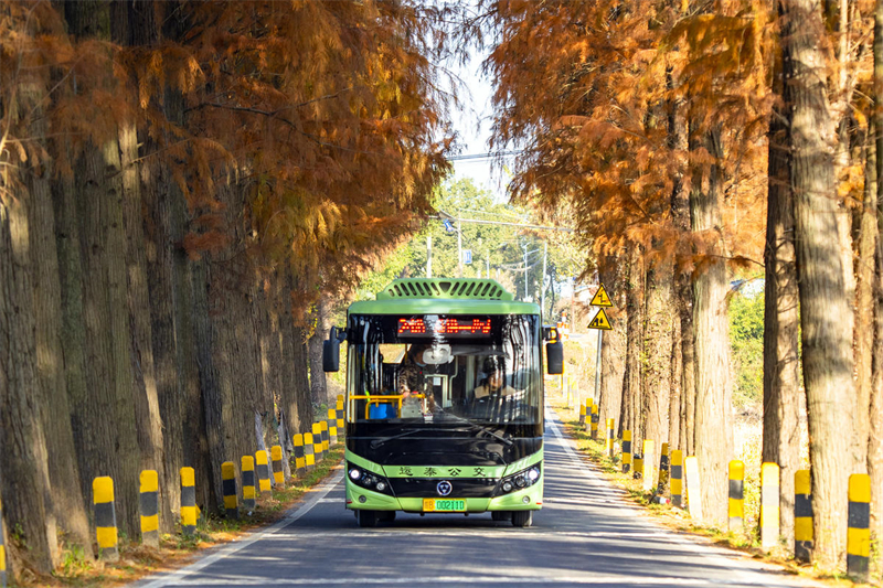 Anhui : magnifiques paysages de routes rurales