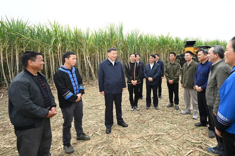 Xi Jinping inspecte la ville de Laibin au Guangxi